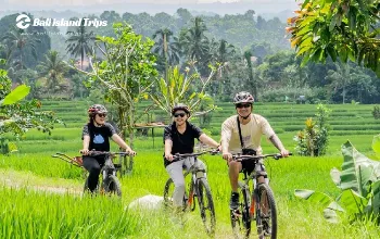 Bali Cycling Tour
