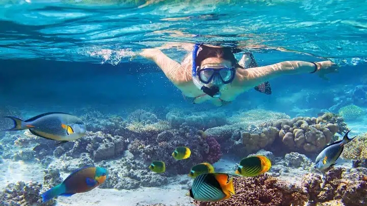 Bali Blue Lagoon Snorkeling Experience