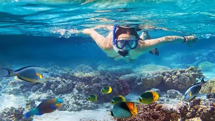 Bali Blue Lagoon Snorkeling Experience