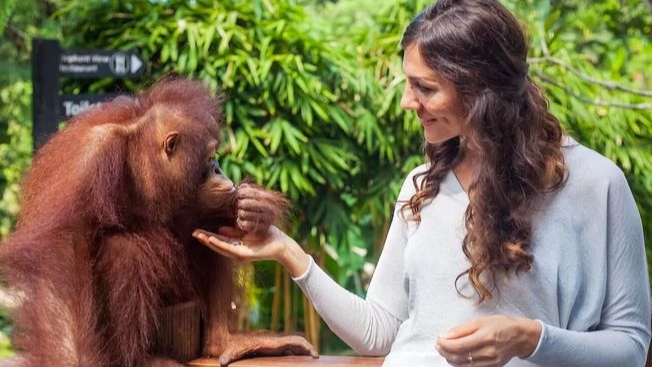 Bali Breakfast with Orangutans & ATV Adventure