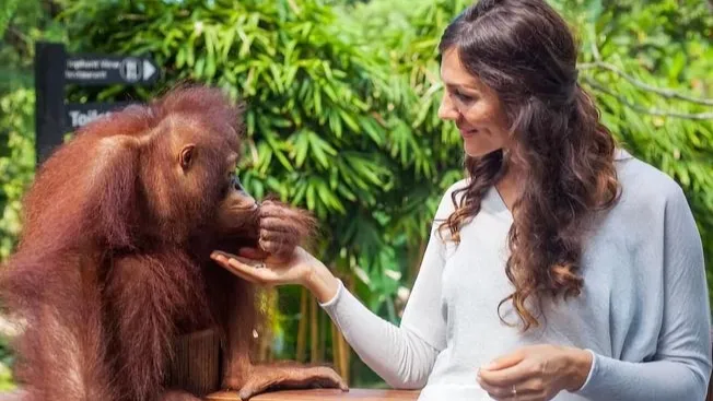 Bali Breakfast with Orangutans & ATV Adventure
