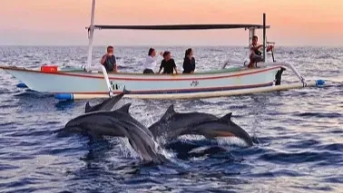 Lovina Dolphin Watching & Snorkeling Adventure