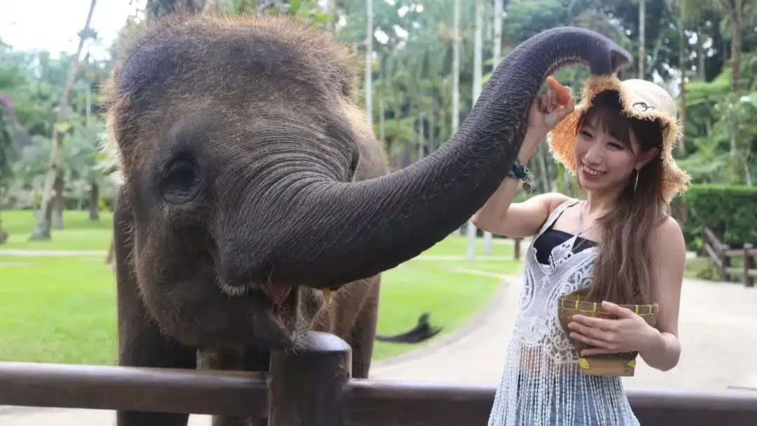 Ubud Sacred Forest & Elephant Sanctuary Tour