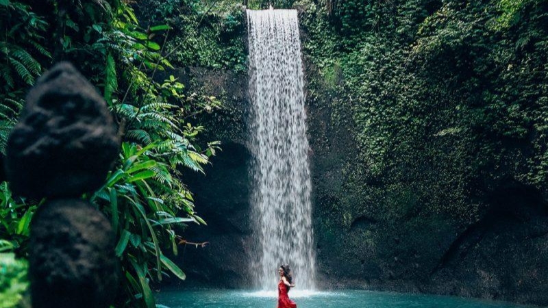 Ubud: Waterfalls, Water Temple & Rice Terraces Private Tour